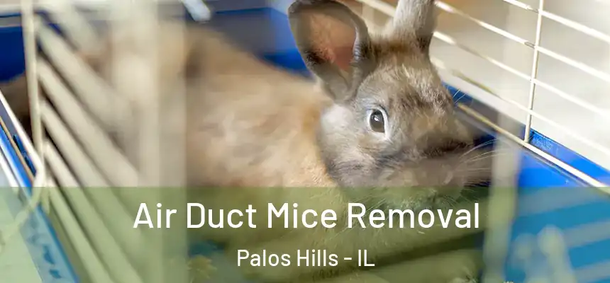 Air Duct Mice Removal Palos Hills - IL