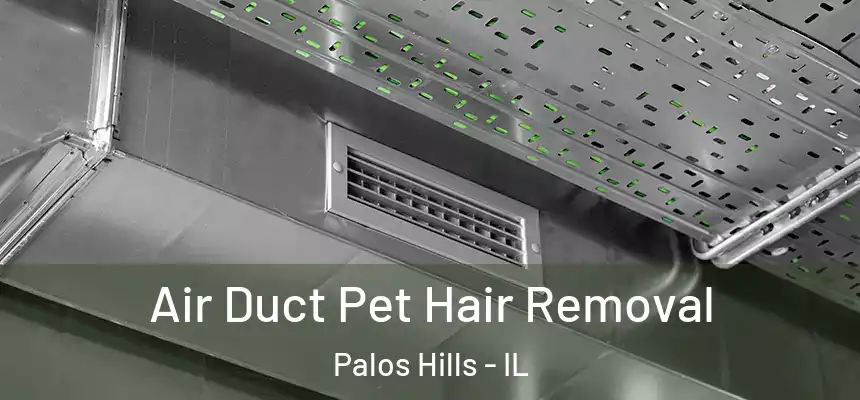 Air Duct Pet Hair Removal Palos Hills - IL