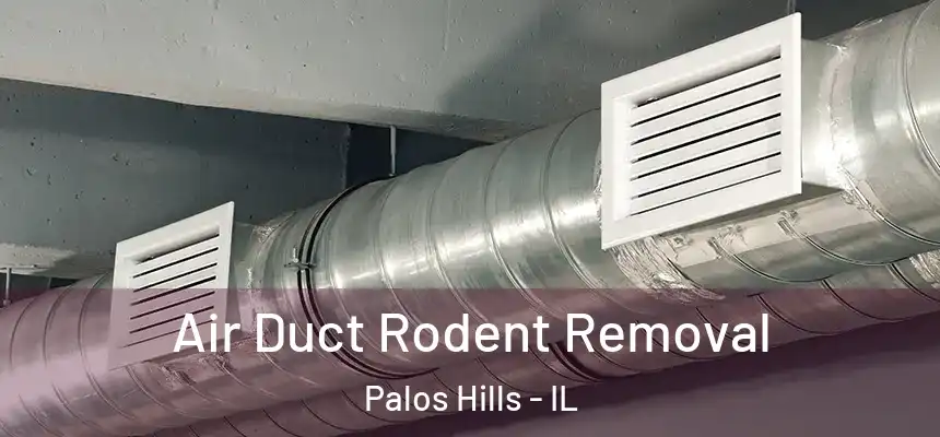  Air Duct Rodent Removal Palos Hills - IL