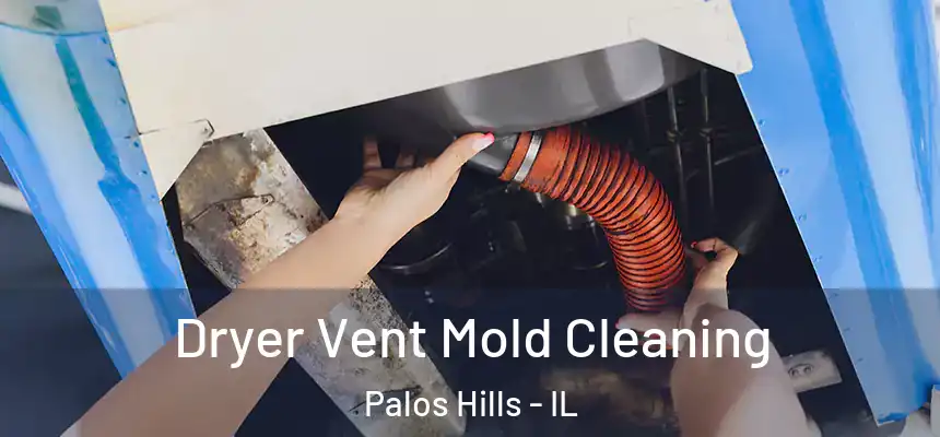 Dryer Vent Mold Cleaning Palos Hills - IL