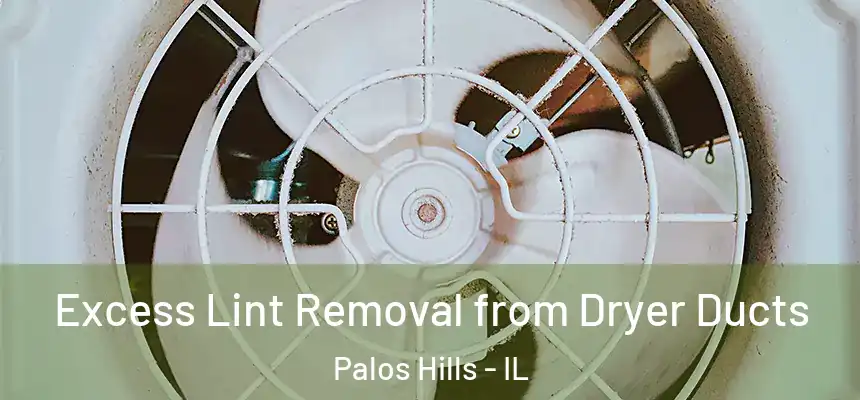  Excess Lint Removal from Dryer Ducts Palos Hills - IL