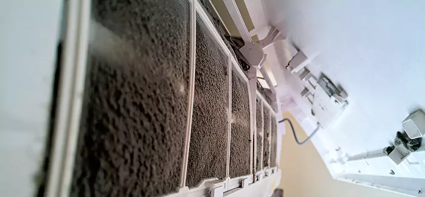 Preventive Air Duct Bacteria Removal in Palos Hills