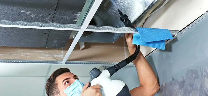 Our Air Duct Rodent Removal Services in Palos Hills, IL