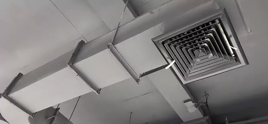 Restorative Allergy Relief Vent Cleaning – Coil, Blower & Housing Detail in Palos Hills