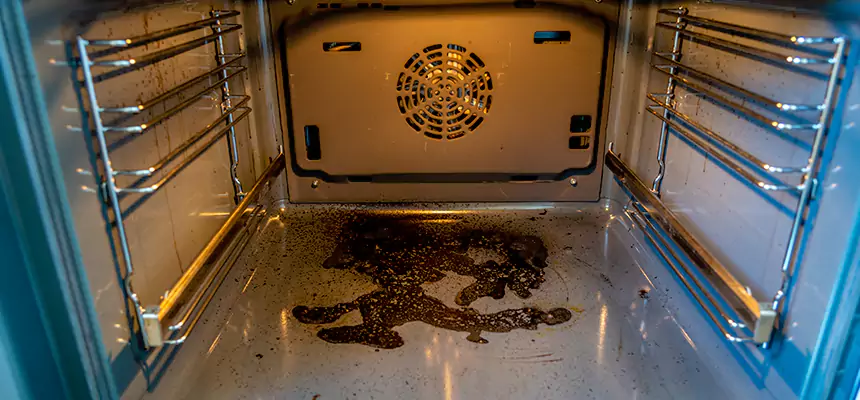 Our Dryer Vent Mold Cleaning Services in Palos Hills, IL