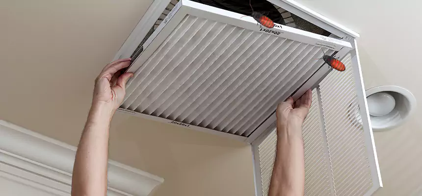 Our Insect Removal from Air Ducts Services in Palos Hills, IL