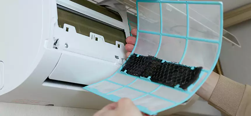 Gentle Ductwork Odor-Control Pet Dander Duct Cleaning in Palos Hills, IL