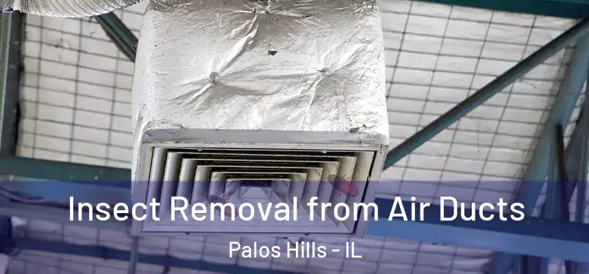 Insect Removal from Air Ducts Palos Hills - IL