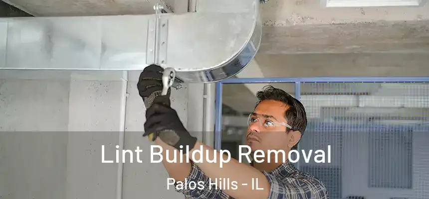 Lint Buildup Removal Palos Hills - IL