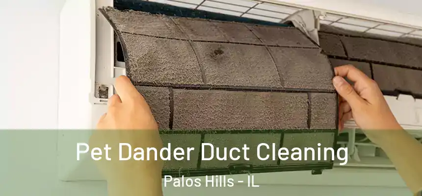 Pet Dander Duct Cleaning Palos Hills - IL