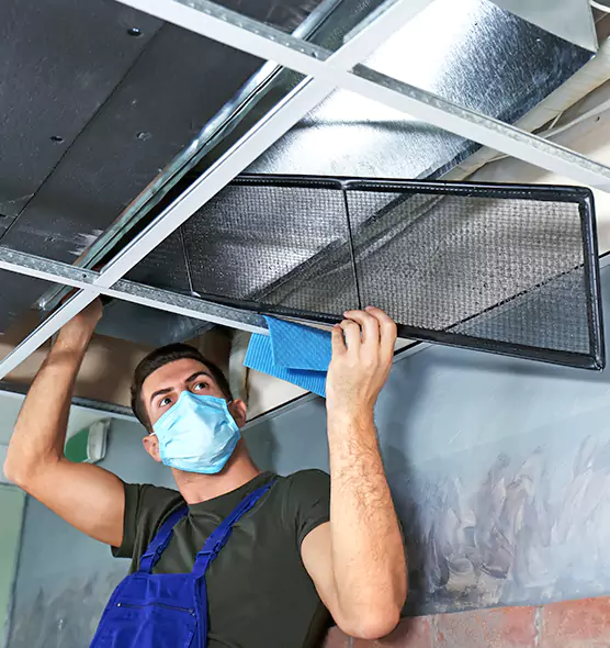 About Air Duct Bacteria Removal in Palos Hills