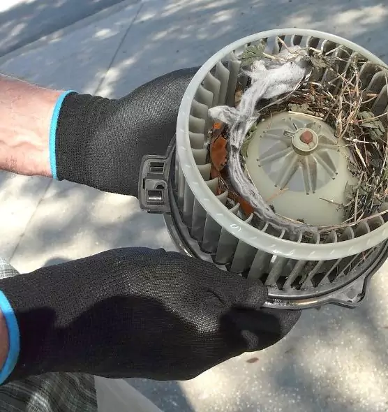 About Air Duct Mice Removal in Palos Hills, IL