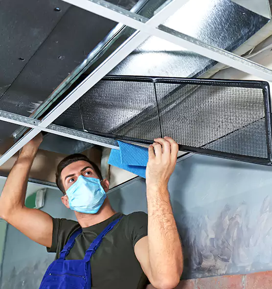 Professional Air Duct Pollen Cleaning in Palos Hills, IL