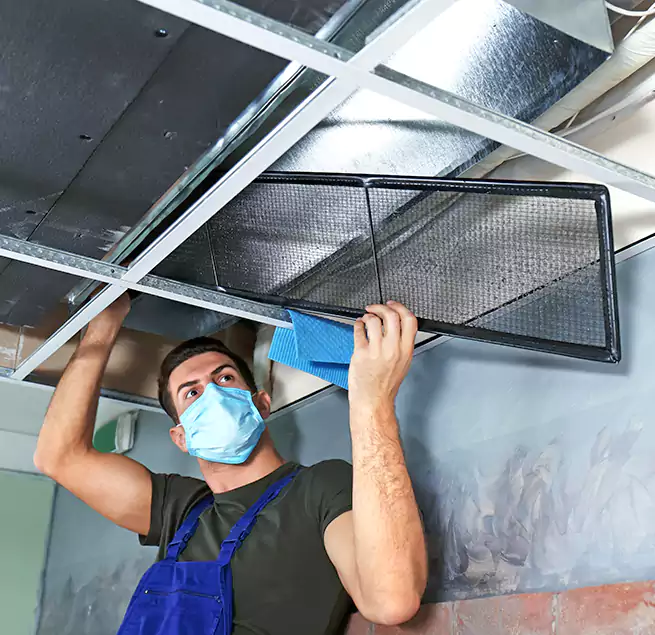 Why Homeowners Businesses Trust Us in Palos Hills, IL